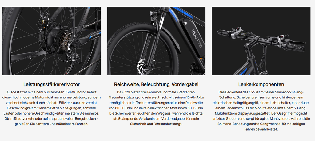 Duotts C29 E-BIKE - LIZZIE DIRECT