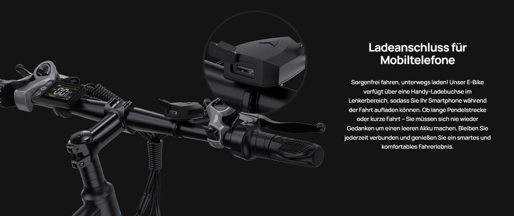 Duotts C29 E-BIKE - LIZZIE DIRECT