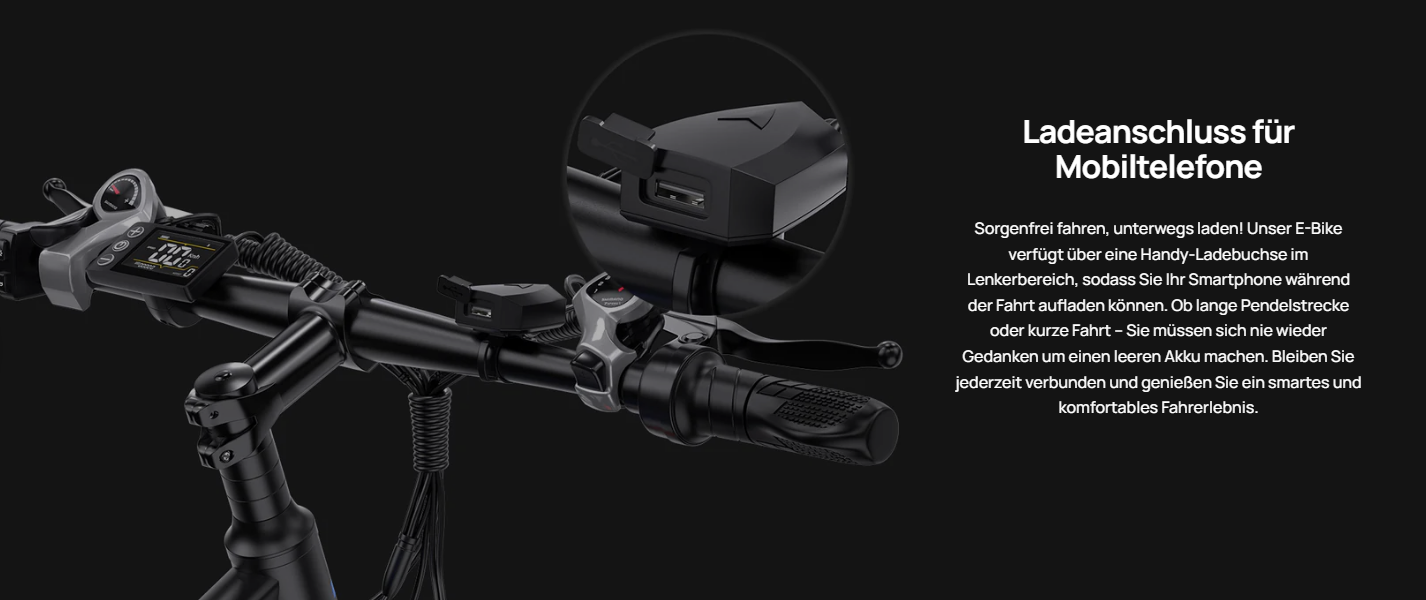 Duotts C29 E-BIKE - LIZZIE DIRECT