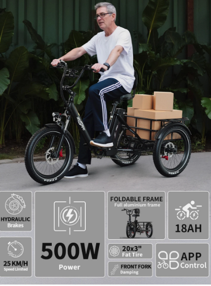 Onesport OT30 pro Cargo E-Bike