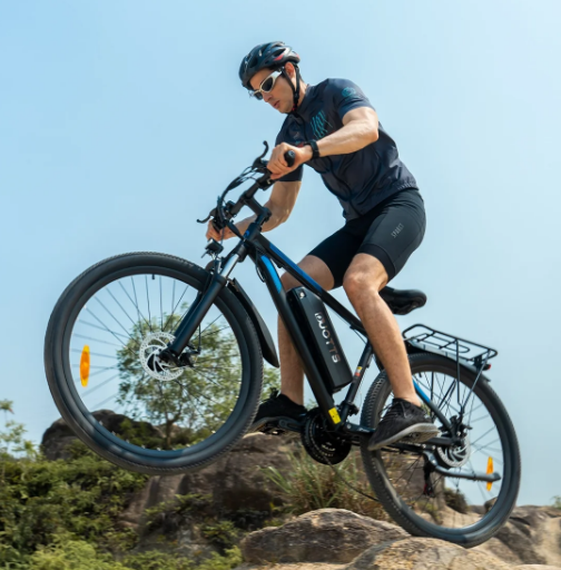 Duotts C29 E-BIKE - LIZZIE DIRECT