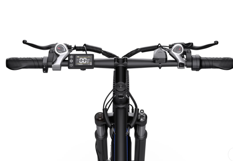 Duotts C29 E-BIKE - LIZZIE DIRECT