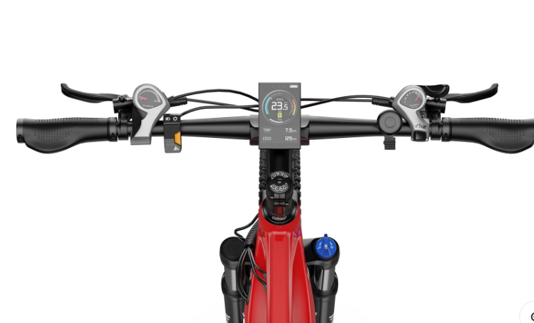 DUOTTS E29 E-BIKE - LIZZIE DIRECT