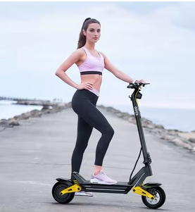 Duotts S10 Elektroroller  29 Zoll 1400W 48V - LIZZIE DIRECT