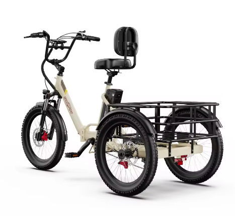 Onesport OT30 pro Cargo E-Bike