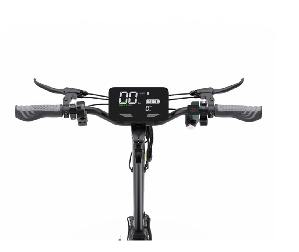 DUOTTS T10 ELEKTROROLLER 11 ZOLL  900W 48V - LIZZIE DIRECT