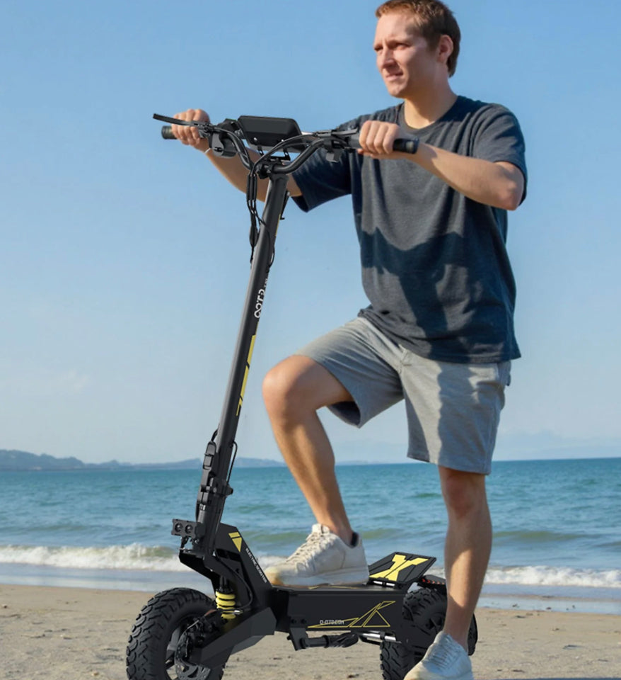 DUOTTS T10 ELEKTROROLLER 11 ZOLL  900W 48V - LIZZIE DIRECT